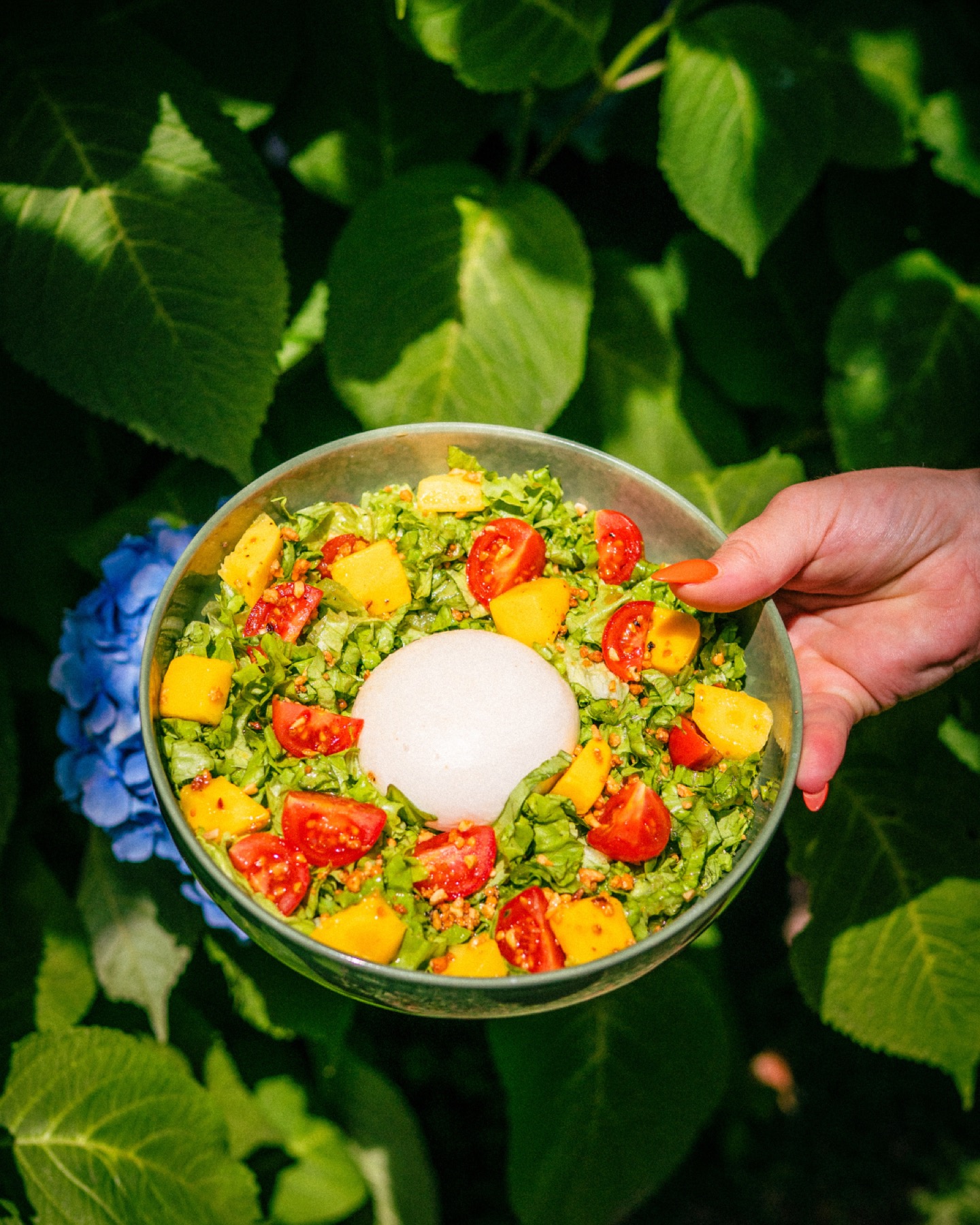 Burrata